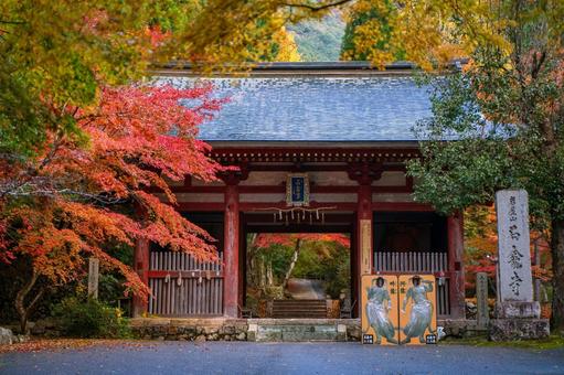 石龕寺（せきがんじ）兵庫県丹波市-1 石龕寺,せきがんじ,丹波市の写真素材