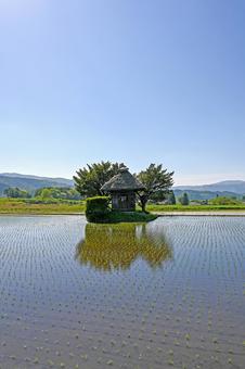 岩手・遠野市 荒神神社(春・5月) 岩手・遠野市 荒神神社(春・5月) 荒神神社,田園,田園風景の写真素材