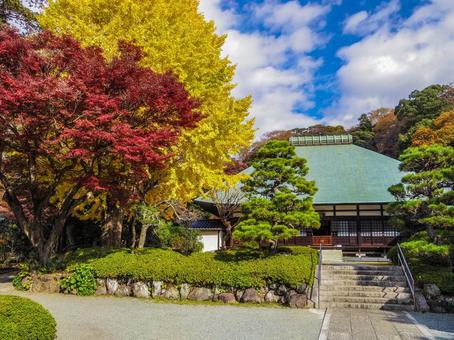 【神奈川県】鎌倉市・浄妙寺 【神奈川県】鎌倉市・浄妙寺の写真
