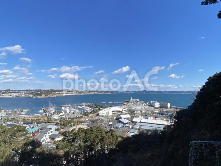 江ノ島から見た、街並み 江の島,江ノ島,江の島神社の写真素材
