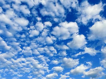 羊雲_20230418_01 ひつじ雲,雲,晴れの写真素材