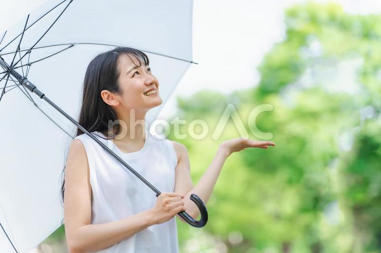 梅雨に傘を持ったアジア人女性(雨上がり) 梅雨,傘,雨の写真素材