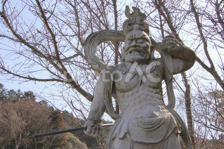 宗像市の鎮国寺の仁王像 宗像市,鎮国寺,観光名所の写真素材
