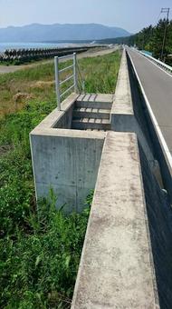 堤防の階段と海岸道路 堤防の階段と海岸道路 階段,堤防,護岸の写真素材