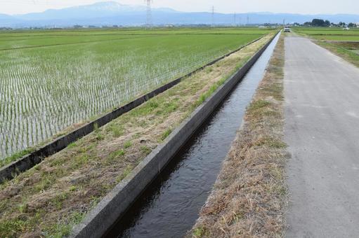 農業用水路と農道 田園風景 農道,農業用道路,農業用の道路の写真素材