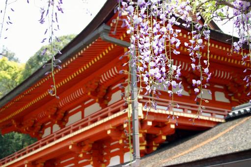 Kasuga Taisha Kasuga Taisha