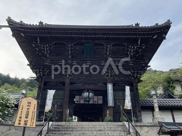 奈良　長谷寺　仁王門 長谷寺,仁王門,山門の写真素材