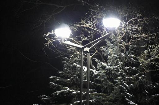 街灯と木に積もる雪 雪,北海道,夜の写真素材
