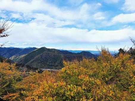 冠雪の山を望む紅葉 山,紅葉,秋の写真素材