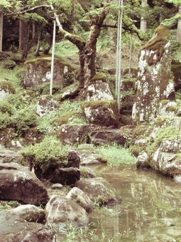 福井県-一乗谷朝倉氏庭園-諏訪館跡庭園 福井県-一乗谷朝倉氏庭園-諏訪館跡庭園の写真