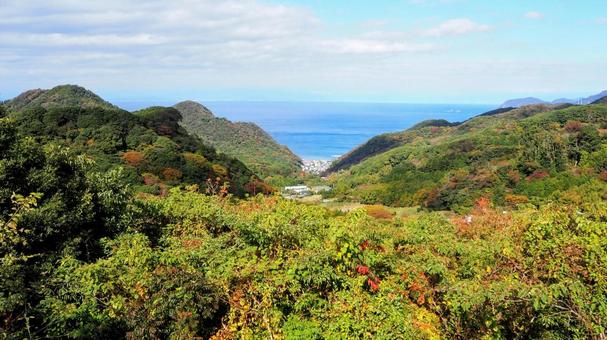 秋の西伊豆・石部棚田からの眺め・松崎町 秋の西伊豆・石部棚田からの眺め・松崎町 秋,石部棚田,静岡県の写真素材
