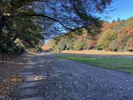 嵐山渓谷の河原風景（秋） 嵐山渓谷,嵐山,渓谷の写真素材