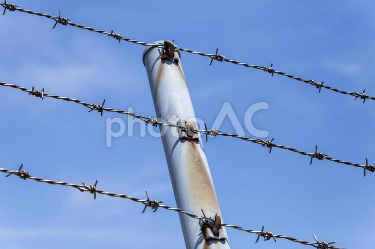 立入禁止区域1 立入禁止,鉄条網,有刺鉄線の写真素材