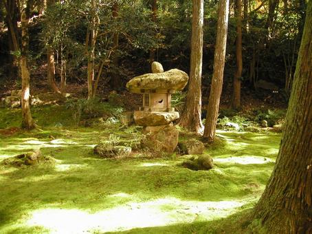 京都　大原 京都市,左京区,秋の写真素材