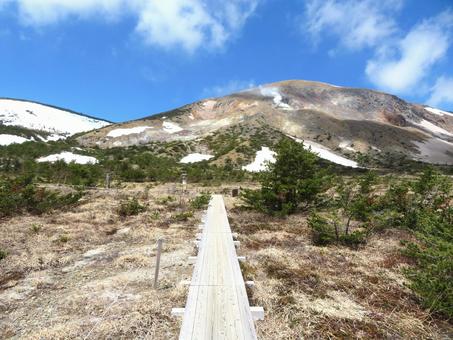 Photo, a promenade, wooden road, a walk, 