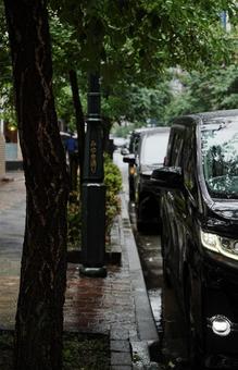 雨の日 銀座みゆき通り 雨の日 銀座みゆき通り 銀座,みゆき通り,雨の写真素材