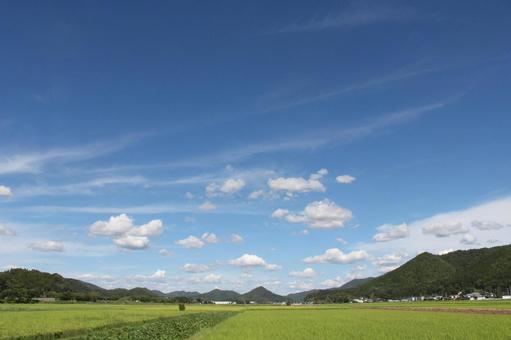 Snowy Sky, JPG