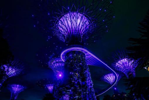 【シンガポール】ガーデンズバイザベイ シンガポール,ガーデンズバイザベイ,ガーデンの写真素材