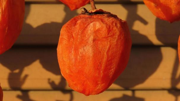 干し柿 干し柿,柿,ドライフルーツの写真素材