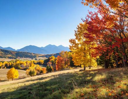 紅葉が広がる秋の自然風景 紅葉が広がる秋の自然風景の写真