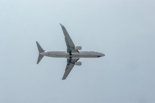 青空を割って降りてくる 青空を割って降りてくるの写真