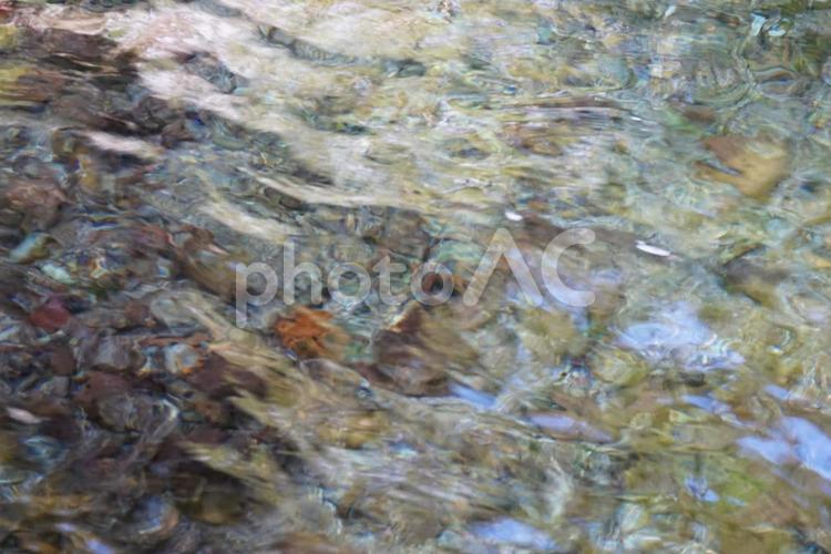 透き通る水のイメージ 水源,水,白川水源の写真素材