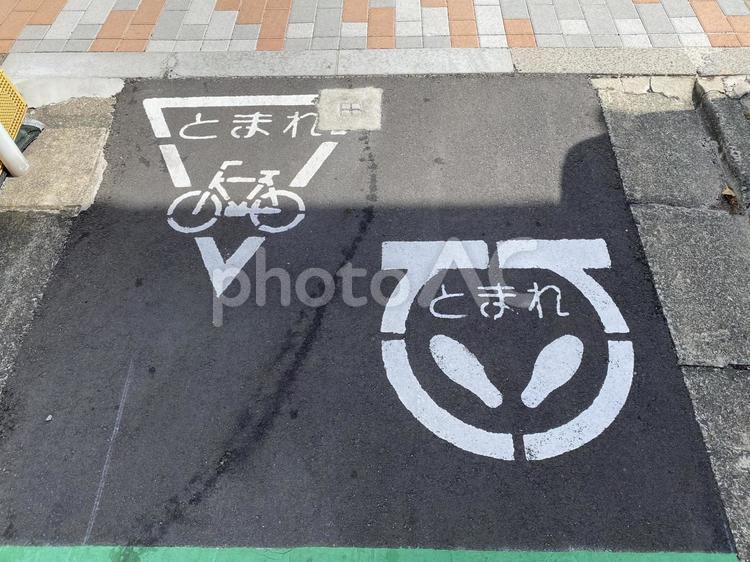 交差点のとまれマークと自転車注意表示 とまれ,道路表示,自転車マークの写真素材