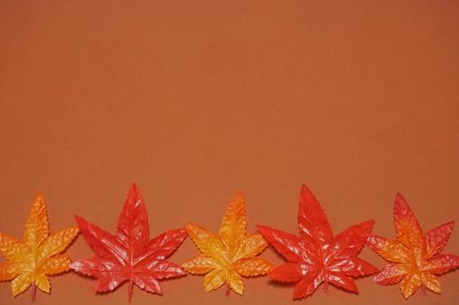 Maple background, JPG Maple background, JPG