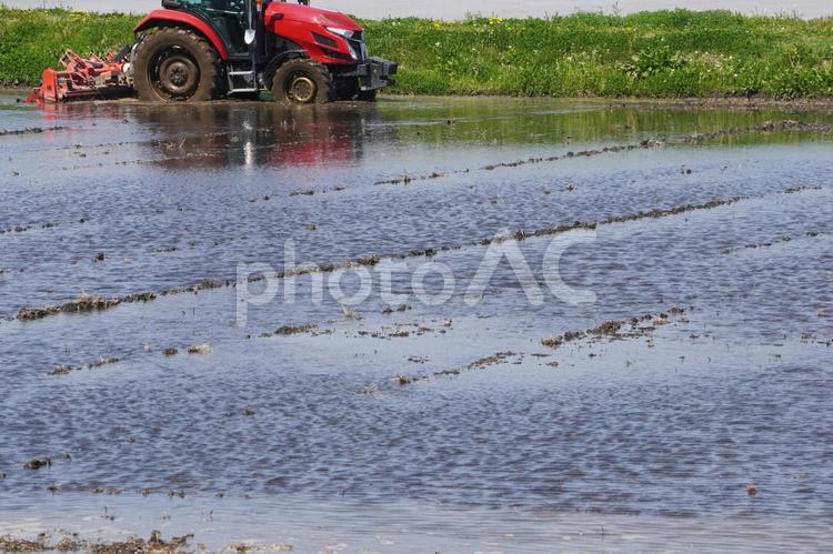 春、水田を耕す耕運機（トラクター） 農業,耕運機,トラクターの写真素材
