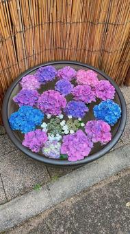 癒し 癒しの写真