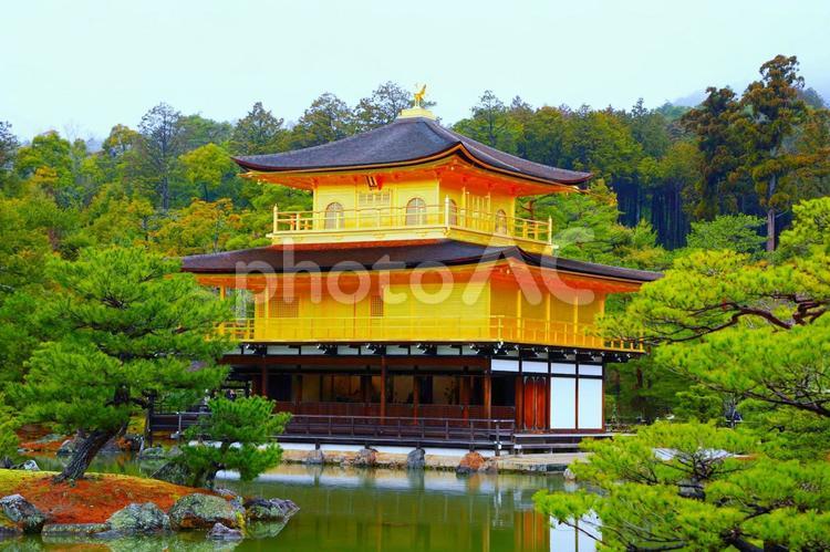 世界文化遺産の美しい建造物金閣寺 金閣寺,世界文化遺産,日本庭園の写真素材