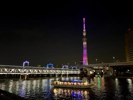 夏の空とバイオレットに光るスカイツリー 夏の空とバイオレットに光るスカイツリー 空,スカイツリー,塔の写真素材