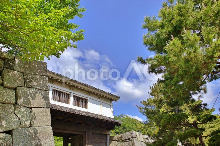 青空に映える和歌山城岡口門 和歌山城,岡口門,城の写真素材