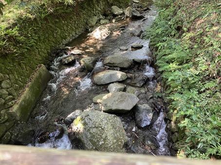 自然な川⑤ 自然な川⑤ 川,清流,初夏の写真素材
