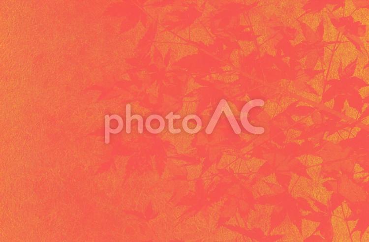 オレンジベースの和紙と紅葉の背景 背景,秋,黄色の写真素材
