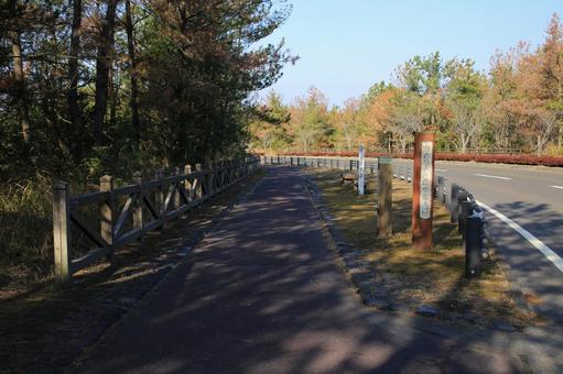 溶岩なぎさ遊歩道 入口 溶岩なぎさ遊歩道 入口 溶岩なぎさ遊歩道,遊歩道,歩道の写真素材