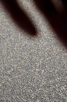 アスファルトに映る影 アスファルトに映る影の写真