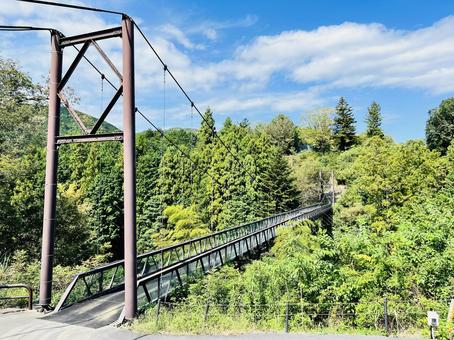 緑の渓谷に架かる吊り橋 緑の渓谷に架かる吊り橋 吊り橋,つり橋,吊橋の写真素材