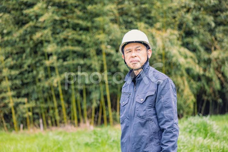 緑地公園の現場にいる中年男性作業員 男性,日本人,人物の写真素材