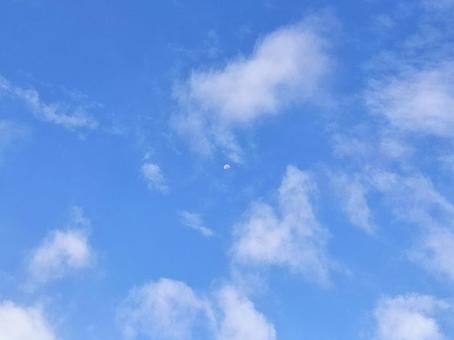 月と夏の青空 月と夏の青空の写真