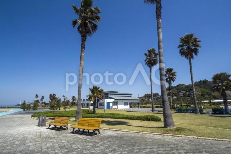 白谷海浜公園39（田原市） 田原市,白谷,海水浴の写真素材