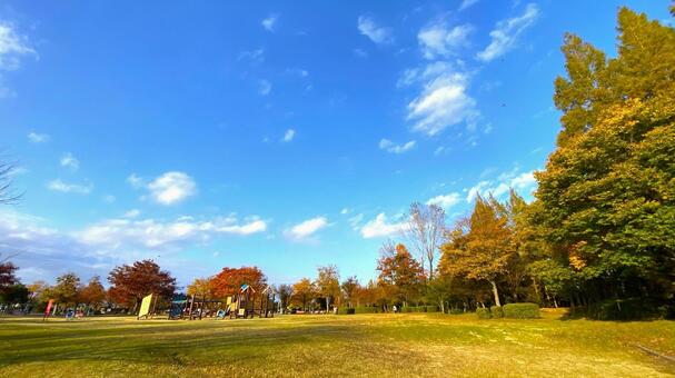 紅葉の北部公園（金沢） 紅葉,秋,公園の写真素材