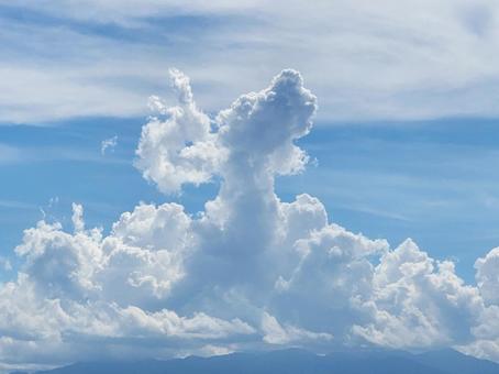 夏雲 夏雲の写真