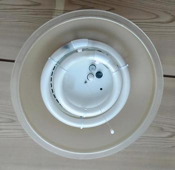 蛍光灯 蛍光灯 蛍光灯,電灯,電球の写真素材