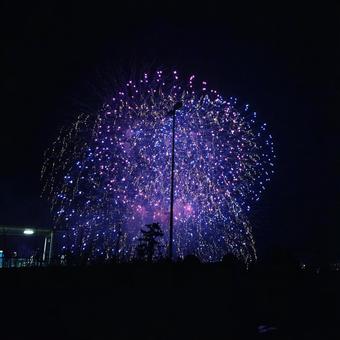 艶やか花火 艶やか花火の写真