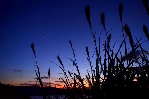 夕焼けとススキ 秋イメージ 夕焼けとススキ 秋イメージの写真