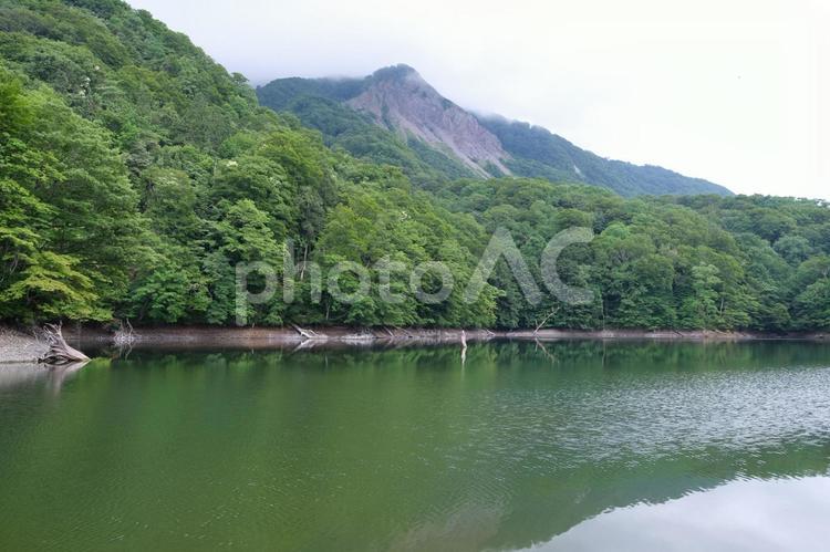 鶏頭場の池　神秘な色の奇麗な風景 白神山地,十二湖,青森県の写真素材
