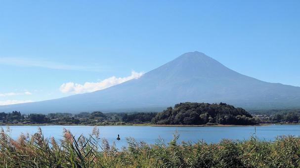 初秋の河口湖大石公園から望む富士山 初秋の河口湖大石公園から望む富士山 富士山,初秋,9月の写真素材