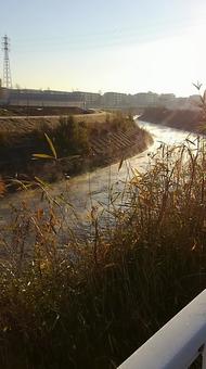 冬の川 冬の川の写真