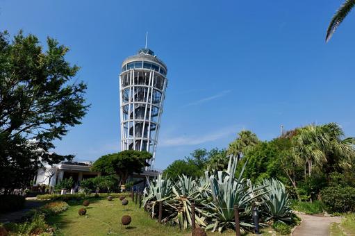 江の島シーキャンドルと公園 江の島シーキャンドルと公園 シーキャンドル,サムエル・コッキング苑,江の島の写真素材